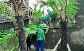 Kappa Senses Ubud